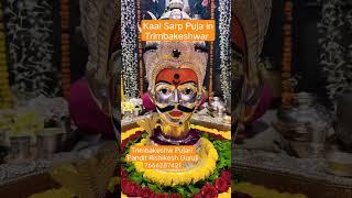 Trimbakeshwar Pujari pandit Rishikesh Guruji Kaal sarp puja in Trimbakeshwar #shorts #live #views