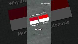 Why Do Indonesia And Monaco Have Similar Flag? #shorts