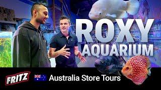 Inside Roxy Aquarium, an Australian Fish Store Dream