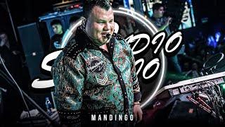 MANDINGO EN VIVO | RADIO STUDIO DANCE | NOCHE DE SABADO