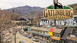 Big Changes Coming To Gatlinburg 2025 / What's New Walkthrough / Myron Mixon BBQ / Blue Moose