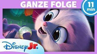 Die SuperKitties und der talentierte Unruhestifter GANZE FOLGE 3 | SuperKitties