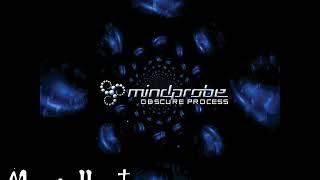 Mindprobe - Mentally Insecure