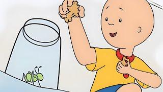 Caillou's Cricket / Dog Dilemma / The Spider Issue | Caillou Classics