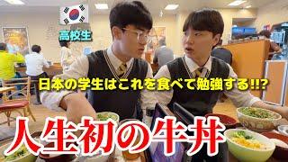 日本ではこれを食べてますか?!!! 初めて日本の牛丼を食べて韓国の高校生が衝撃を受けました...