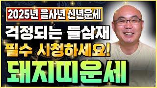 ⭐2025년 을사년 돼지띠운세⭐삼재에 뜻밖의 금전이 들어와 부자가 된다! 금전운 대박나는 돼지띠 운세! 59년생 71년생 83년생 95년생 금전운 사업운 문서운 사주풀이