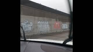 Seattle Freeway Graffiti.