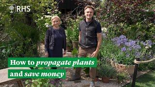 How to propagate plants and save money | The RHS