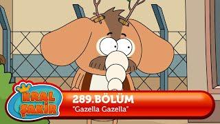 Kral Şakir 289. Bölüm - Gazella Gazella  YENİ BÖLÜM