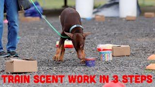 How to Train Your Dog for Scent Work (Nosework) in 3 Easy Steps
