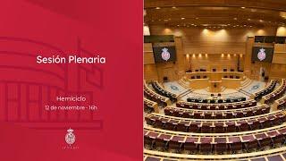 Sesión Plenaria - 12 de noviembre de 2024 - 16 horas - castellano