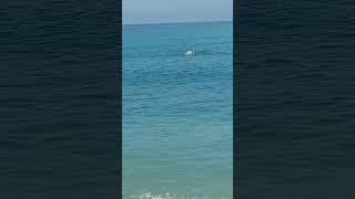 В 75 баба ягодка опять #море #плавание #здоровье