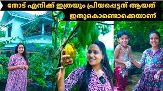 തോട് എനിക്ക് ഇത്രയും പ്രിയപ്പെട്ടത് ആയത് ഇതുകൊണ്ടൊക്കെയാണ്/@saranyasbeautyvlogs