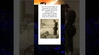 عودة أوديسيوس وكلبه الوفي #كلب #كلاب #وفي #حيوانات #وفاء #اسطوره #أساطير #اكسبلور #قصص #قصة #معلومات