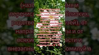 молитва самая сильная в трудной жизненной ситуации #отченаш #божья #молитва #религия
