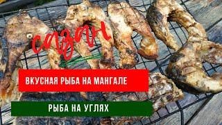 Сазан на мангале .Вкусно.#42