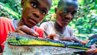 LOST in CONGO and hunting VENOMOUS SNAKES with THE PYGMIES