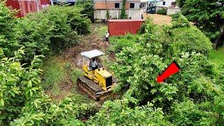 Best Skill Dozer Operator Land Clearing D31P Komatsu At New Land Filling Construction