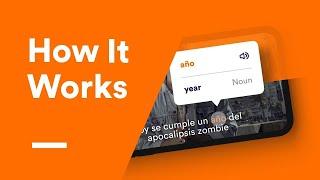 Lingopie  Learn a Language with TV Shows and Movies