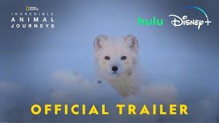 Incredible Animal Journeys | Official Trailer | National Geographic