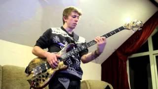 Alembic Series 2 Bass - A little bit of Stan