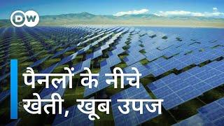 सोलर पैनलों से नीचे उगने से फसल हो गई दोगुनी [Why we should put solar panels everywhere]