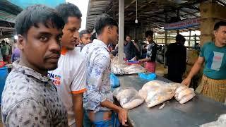 Big Wholesale Fish Market, Abdullahpur, Uttara, Dhaka, Bangladesh  4K View