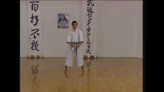 Bassai Sho - Efthimios Karamitsos - Karate - Kata - Shotokan