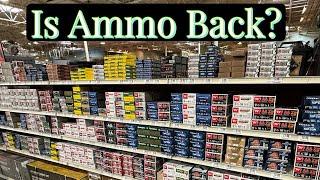 What’s Happening to Ammo Prices? #freedomseeds #ammo #ammo_shortage