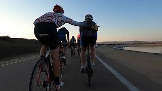 WALT DOES BIKES TRAILER - 2020 - SHENANIGAN CITY