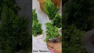 Unboxing Meesho Artificial Plant #unboxing #review #meesho #shorts #shortvideo #youtube #viralvideo