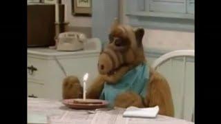 #ALF - Happy Fappiano! #Shorts 
gordon shumway, alf cat, Alf