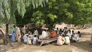 Relaxed and Calm village life views of Pakistani Punjab | Karamat Ali