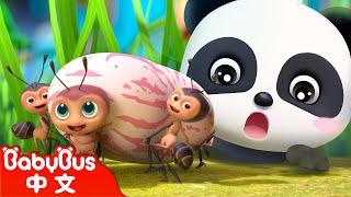 螞蟻搬豆 | 經典中文兒歌 | 熱門國語兒歌 | Kids Song | 童謠 | 動畫 | 卡通片 | BabyBus | 寶寶巴士