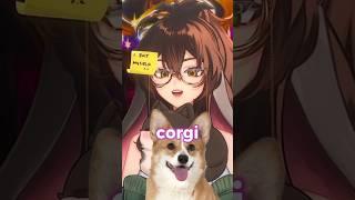 Going outside to touch grass? Nah, to touch corgi #vtuber