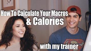 How To Calculate Your Macros & Calories | Gabi Mendoza