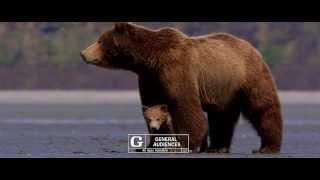 Disneynature's Bears - TV Spot