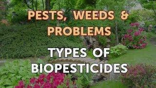 Types of Biopesticides