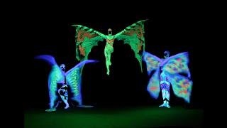 IMAGE Black Light Theatre - performance Afrikania - cut 2023