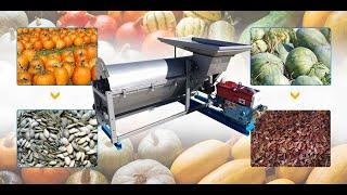 Pumpkin seed extractor, watermelon seed extractor, melon seed extractor, seed extractor