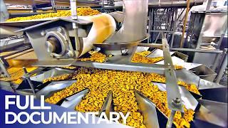 Inside Food Factories: Mega Snack Production | FD Engineering