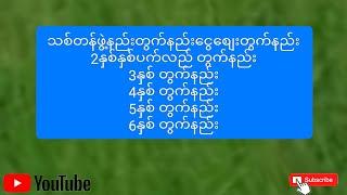 သစ်တန်ဖွဲ့နည်းတွက်နည်းငွေစျေးတွက်နည်းနှစ်လမထုတွက်နည်းများ