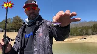 Four Different Ways to Fish a Blade Bait with Fishing Superstar Mike Iaconelli