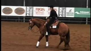 Watch This Way and Missy Hood - 2010 NRHA Futurity - video by Video Horse World
