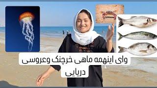 رفتیم با خانواده لب دریا شنا کردن خوشبختانه باماهگیری سر خوردیم 10مدل ماهی بود با عروس دریایی #جديد