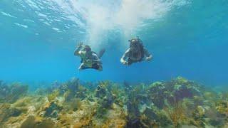 The Hidden Worlds of the National Parks 360° VR Film