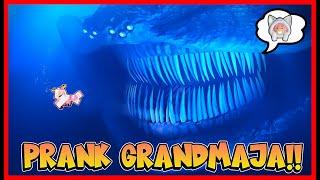 PRANK MOMON !! ATUN BERUBAH MENJADI GRANDMAJA TERBESAR !! Feat @sapipurba Roblox