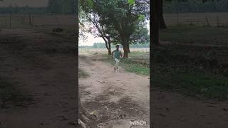 running status, cricket Practice #cricket #fitnessprogram #viralvideos #sports #viral #trending