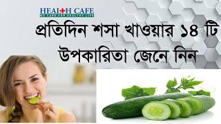 প্রতিদিন শসা খাওয়ার ১৪ টি উপকারিতা  জেনে নিন cucumber eating benefits  Health Cafe