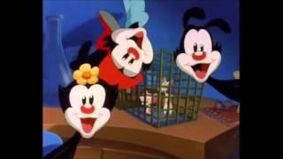 Pinky & the Brain (intro) 1993 "Original Animaniacs Cut"